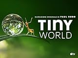  Tiny World