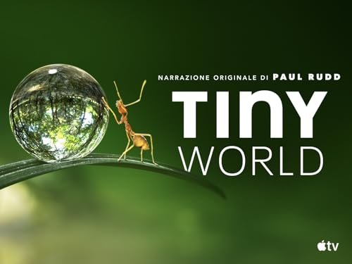  Tiny World