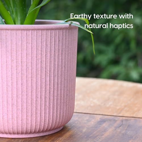 Image of Eha Earth Friendly Statement Pot 4 Inch Pots and Planters with Growmix |Set of 2| Table Top Planters for Gifting | Bamboo Based | Planter for Indoor & Balcony Window Flower Pots|Innocent