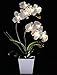 FANStek 2AA LED Lighted Artificial Orchid Arrangement-Battery Operated Orchid Pot with 9 Lights (White)