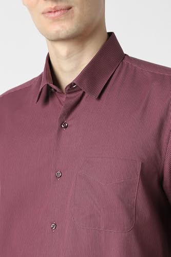 Image of Peter England Men's Slim Fit Full Sleeve Pin-Striped Formal Shirt | Cotton-Rich | Wonder Fabric | Pin Point Oxford