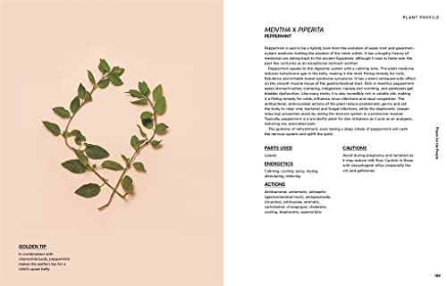 Plants for the People: A Modern Guide to Plant Medicine