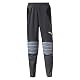 Torwarthosen für Kinder von Puma GK Padded Pants in Ebony/Black/Tradewinds