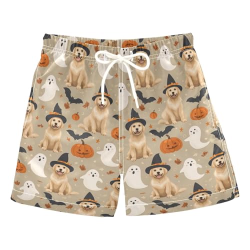 Boys Swim Trunks Quick Dry UPF 50+ Beach Board Shorts Kids Bathing Suits Swimsuit 2T Pumpkin Bat Golden Retriever