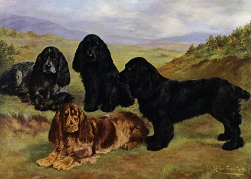 Affiche Cocker Spaniels par Lilian Cheviot - Impression sur Toile Modern Salon 60x90cm