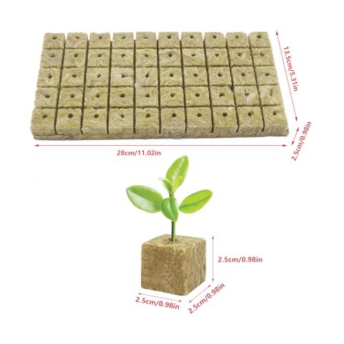 WANYI 50 Stück Steinwolle Anzucht, Rockwool Cube, Steinwolle Dämmung, Steinwolle Grow Anzucht Anzuchtmatte mit Schere Handschuhe für Bodenlos Anbau Hydrokultur Umpflanzen