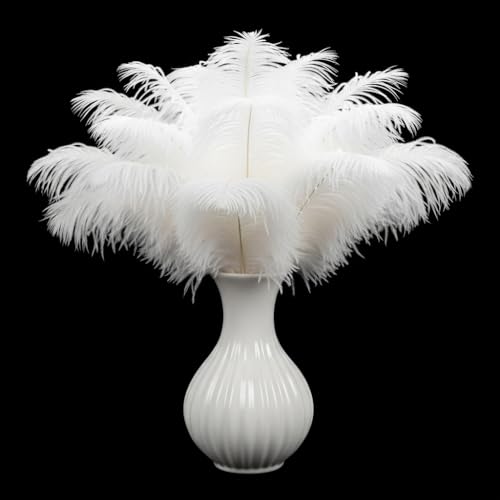 Lamar 20Pcs 10-12'' White Ostrich Feathers for Wedding Centerpieces, Crafts, Carnival Deco, Gifts, Festival, Party Decor, Floral Arrangement, Bohemian Home Decor (White)