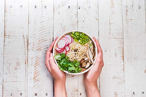 Dr. Mcdougall's Vegan Ramen Chicken Soup - Chicken Noodle Soup - Ramen Noodles - Instant Ramen Noodle Cups - Oil-Free Non-Gmo Ramen Soup - Organic Instant Noodles - 1.4 Ounces - Pack Of 6 #TOP4
