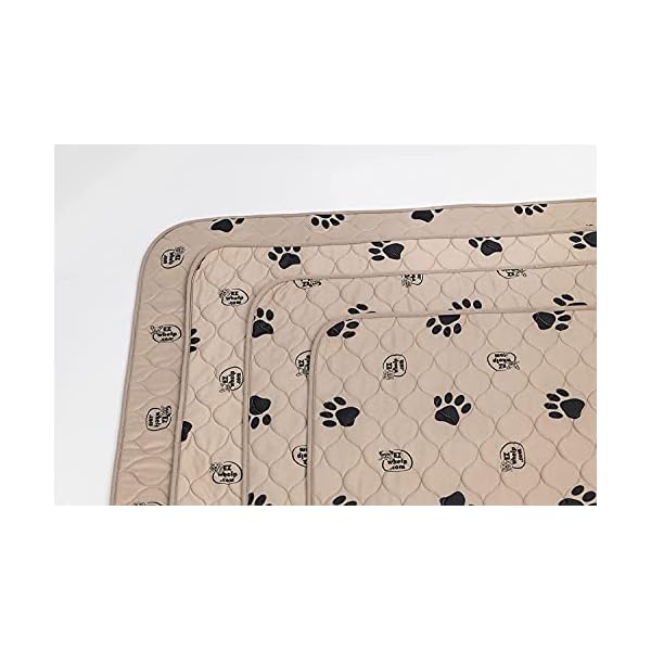 EZwhelp Dog Mat Pee Pad – Puppy Training Stuff – Value 2-Pack – (Size: 19.5″ x 24.5″) EZwhelp Dog Mat Pee Pad – Puppy Training Stuff – Value 2-Pack – (Size: 19.5″ x 24.5″)