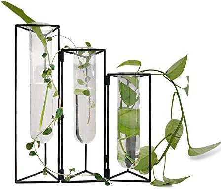 SHINA Set of 3 Test Tube Vase with Black Iron Frame Stand Creative Desktop Glass Planter Hydroponics Cylinder Clear Vase for Propagating Hydroponics Plants Flower Display Home Office Decor