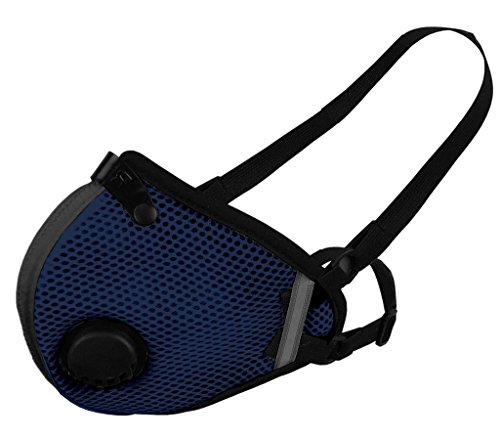 RZ Mask 20399 Safety Masks