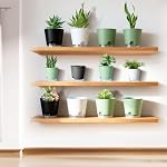6 Pots de plantes avec réservoir transparent 7/6.5/6/5.5/5/4 pouce Planteurs auto-arroseurs pour les plantes intérieures Niveau d'eau visible Pots à fleurs Rope et trous de drainage pour jardin d'habitation (blanc)