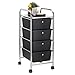 IDIMEX Caisson sur roulettes GINA Chariot avec 4 tiroirs en Plastique Noir et 1 étagère, Meuble de Rangement pour Salle de Bain en métal chromé