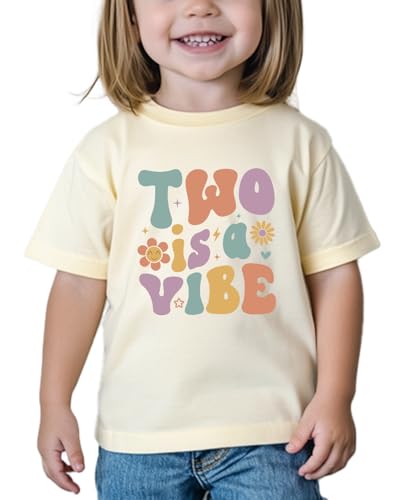 Birthday Girl Shirt Toddler Birthday Shirt Gift for 2nd 3rd 4th 5th 6th 7th 8th Tee Short Sleeve Cotton T-Shirt
