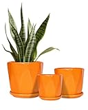 Sin wings Ceramic Plant Pots, 6.7 + 5.3 + 3.9 Inch Octagon Pots for Plants, Flower Planters for Indoor with Drainage and Saucer Set of 3, Bright Orange