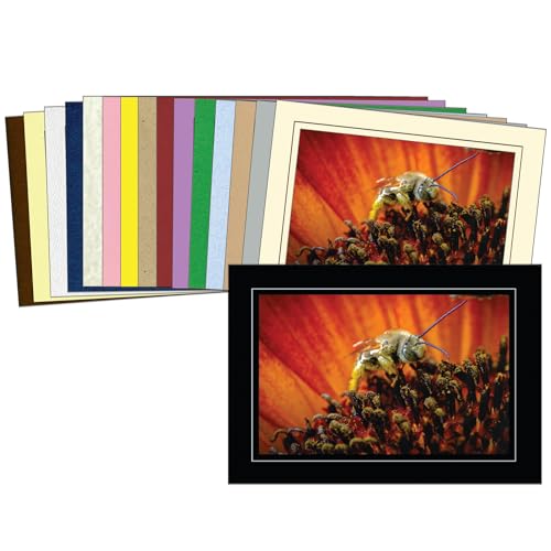 Photographer's Edge, Photo Insert Card Sample Pack, 16 Colored Cards, for 4x6 Photos