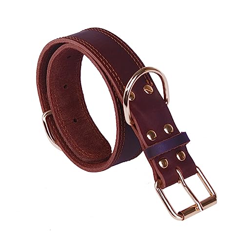 Mikikit Collar De Perro Resistente y Duradero para Perros Pequeños Protección Mascotas