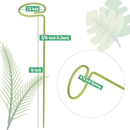boinio 6-Pack Plant Stakes for Indoor Plants, 16 Inch Heavy Duty Adjustable Support Stakes & Tall Sticks for Monstera, Amaryllis, Orchid, Snake Plant, Single Stem, Indoor Outdoor by boinio - Image 3