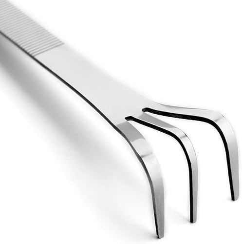 Miniatura 7 de Herramientas Bonsai Pinzas para Bonsái Rastrillo y Raspador (JTT-03)