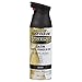 Rustoleum universal paint satin black