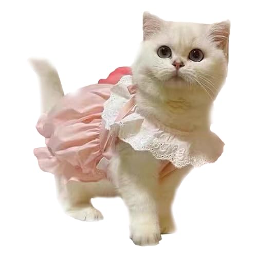 킢ybghXA`VF[fBOqtH̏ȔL̉OÕRX`[ (XS)