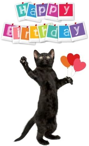 Happy Birthday card with cats, black cat birthday card and envelope