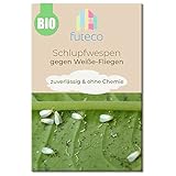 Futeco® – Schlupfwespen gegen Weiße-Fliegen – für 5m² Fläche – zum einfachen auslegen – 100% Biologisch, Chemiefrei & Natürlich – Made in Germany
