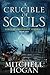 A Crucible of Souls: Book One of the Sorcery Ascendant Sequence