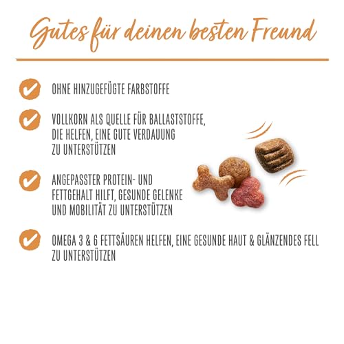 Beneful Original Hundefutter trocken, mit Huhn und Süßkartoffel, 6er Pack (6 x 1,4kg)