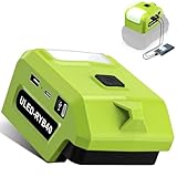 YNDZ (リョービ) LEDワークライト 40Vバッテリー用 バッテリーホルダー用5W 懐中電灯スポットライト 出力ポート付き電源アダプターコネクター USBとType-C充電インターフェイス付き 屋外用