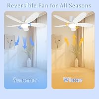Deckenventilator mit Beleuchtung und Fernbedienung 106cm Motor Reversibel – Ansicht 5