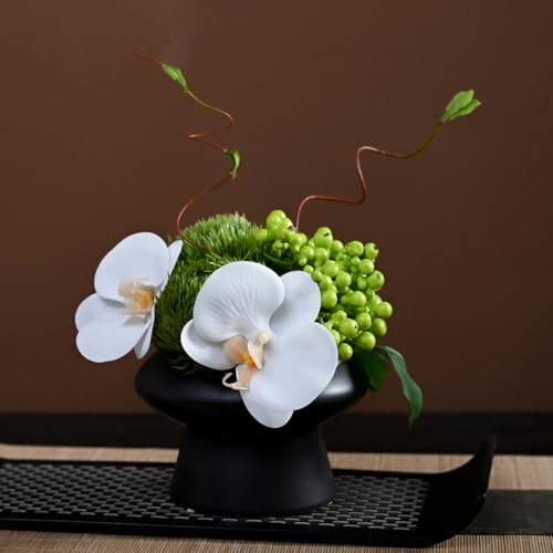 HGJH V tFCNO[ lHϗtA ~ ۋʕ lHA ԃAWg  p q  rO  fBXvC CeA J[20 F ƒp Xܗp zep  ₷