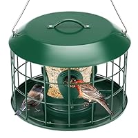 Kingsyard Eichhörnchensicher Vogelfutterspender zum Aufhängen im Freien - Wetterfeste Röhre Vogelfutterstation mit 4 Futteröffnungen & Sitzstangen, einfach aufzuhängen & nachzufüllen Grün