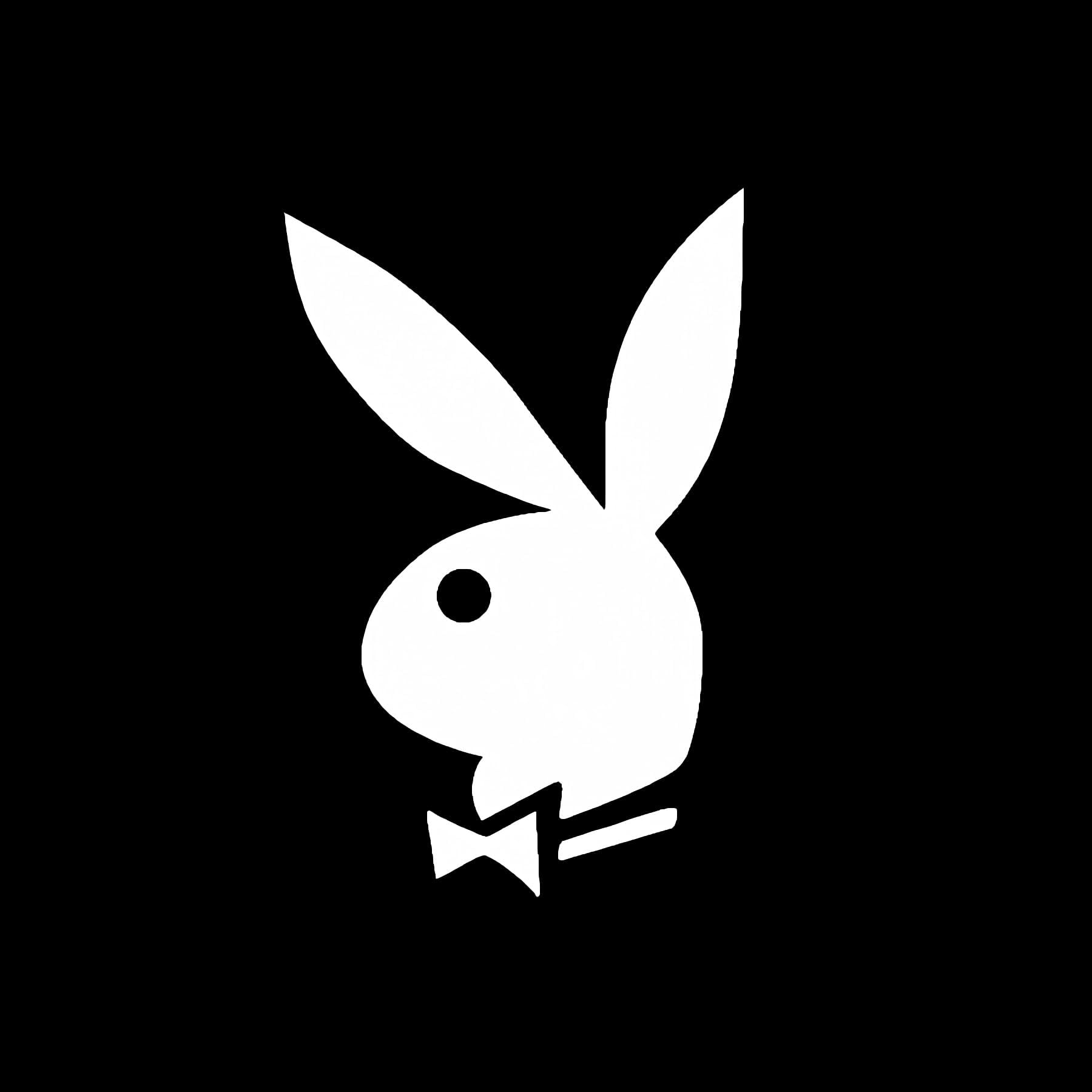 Bunny Vinyl Decal Car Wall Window Sticker Choose Size Color (8, White)