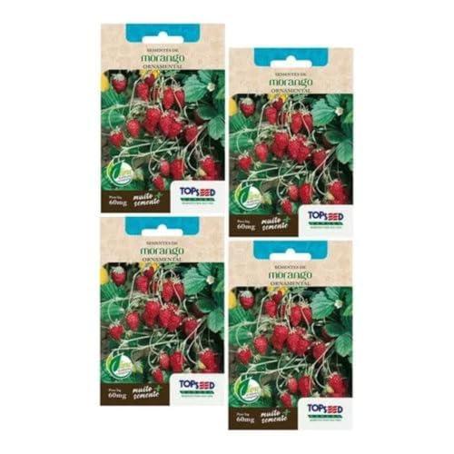 4X Sementes de Morango Ornamental 60mg Topseed Silvestre Carnudas Vasos Hortas