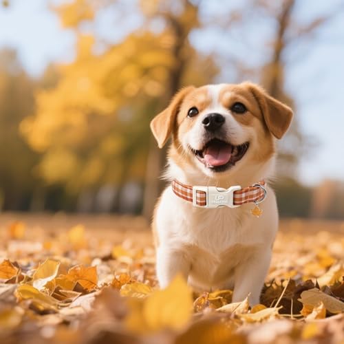 Image of Fall Plaid Dog Collar with Maple Leaf Charm - Adjustable Autumn Checkered Dog Collar for Small Medium Large Dogs, Soft Cotton Puppy Collars with Quick Release Buckle and Metal D-Ring