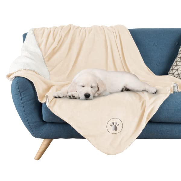 Best Chew Proof Dog Blanket in 2022 (With Reviews!)