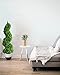 momoplant Artificial Topiary Outdoor Boxwood Spiral Topiary Tree 3ft (2 Pieces) Faux Topiary Tree Outdoor Feaux Plant for Decorative Indoor/Outdoor/Garden (35inch)