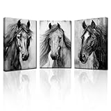 PBXBJY 3 Piece Horse Canvas Wall Art Black and White Horses Painting Prints Farm Animal Portraits Picture Wildlife Vintage Artwork Home Office Decor Framed (12.00' x 16.00' x 3PCS)