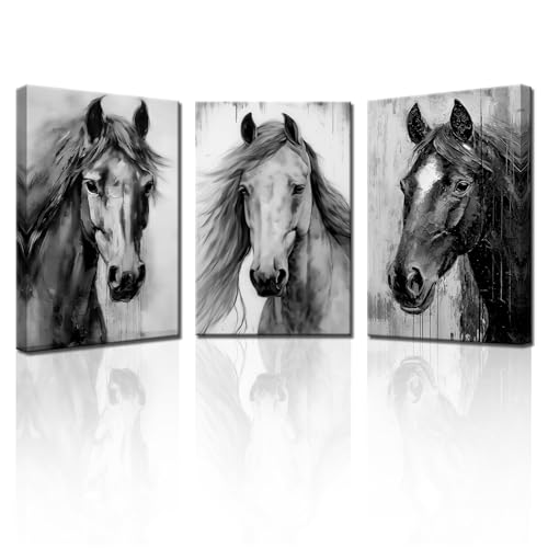 PBXBJY 3 Piece Black And White Horse Canvas Wall Art