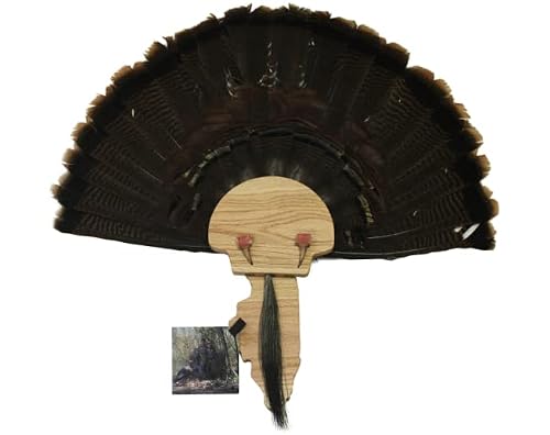Turkey Fan Mount Kit – Custom Illinois Shape Oak Plaque, Beard & Spur Mount, Holds 3 Beards, Photo Clip & Preservative Included – DIY Turkey Taxidermy Display – Made in USA