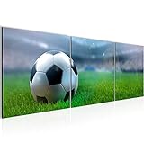 EINFACH AUFHÄNGEN: Zackenaufhänger sind bereits an den Bildern montiert. Es wird kein Rahmen benötigt