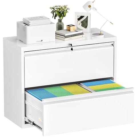 Oakcloud 2 Drawer File Cabinet for Home Office, Filing Cabinet with Lock, Metal Vertical File Storage Cabinet for A4/F4/Letter/Legal Size, Easy Assemble (28“-White) Cover
