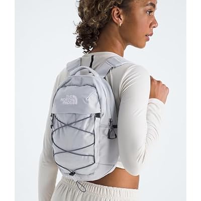 The North Face Borealis Mini Backpack, Blue Flax/Twilight Galaxy, One Size