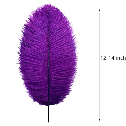 Plumes d'autruche violettes : lot de 24 grandes pièces pour décors