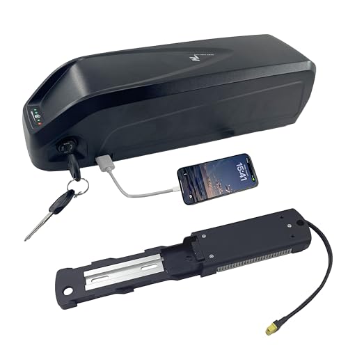 48V Ebike Battery 48V 20Ah Lithium Battery Electric Bike Batteries for 250W 350W 500W 700W 900W 1000W Electric Bikes with 2A Fast Charger 30A BMS