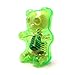 4D Master Green Gummi Gummy Bear Anatomy Model Kit by Jason Freeny