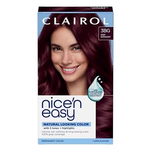 Clairol Nice'n Easy Permanent Hair Dye, 3BG Deep Burgundy Hair Color, Pack of 1