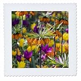 Square dimensions (in inches): 12 L x 12 W, image dimensions (in inches): 10 L x 10 W 100% poloyester; image is soft to touch. Made in USA Edges have pinking shear cut Image will not fade with washing. Image not a transfer, part of material