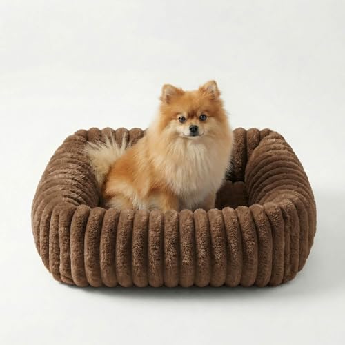 CareCooo Cuccia Cane Interno Taglia Piccola, Letto Rettangolare Sfoderabile e Lavabile, Cuscino Morbido per Cani, Divano per Cani Comodo e Antiscivolo, Marrone, S(51x48x15cm)